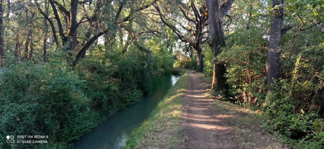 Вилла Sous Les Chenes, En Provence Eyragues Экстерьер фото